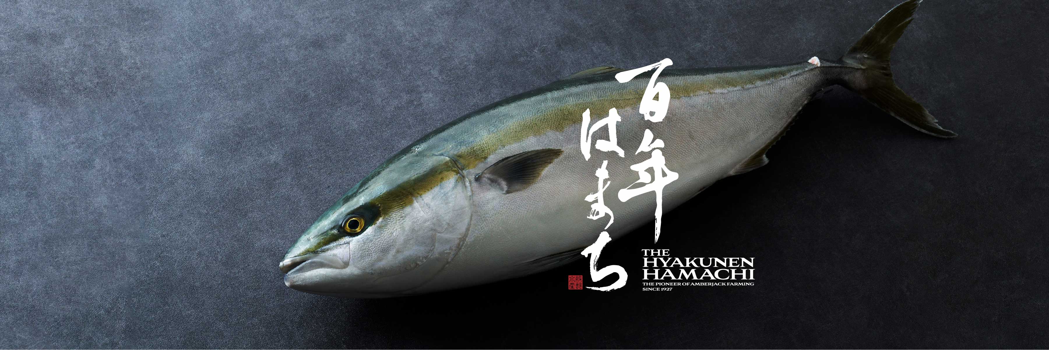 CRAFT FISH（クラフトフィッシュ）
